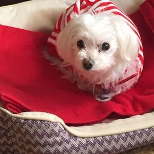 Meet your Posher, Mariana